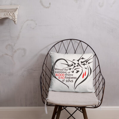 Forgiveness Basic Pillow