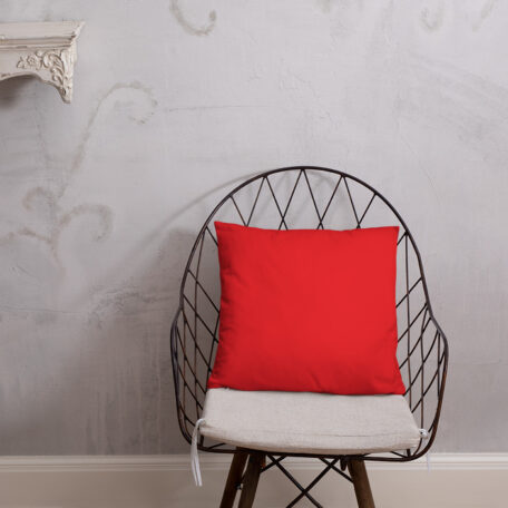 all-over-print-basic-pillow-18x18-5fdabb9026de0.jpg