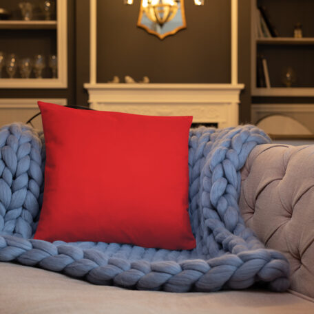 all-over-print-basic-pillow-18x18-5fdabb9026e9a.jpg