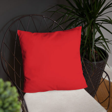 all-over-print-basic-pillow-18x18-5fdabb9026efd.jpg