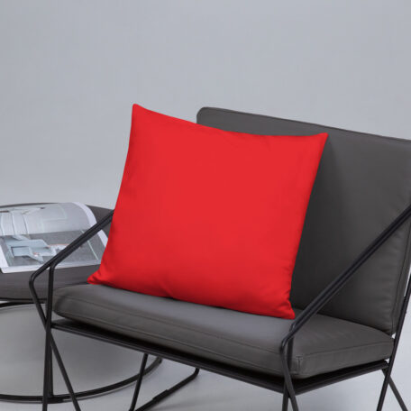 all-over-print-basic-pillow-18x18-5fdabb9026f5c.jpg