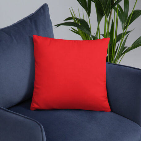 all-over-print-basic-pillow-18x18-5fdabb9026fcc.jpg