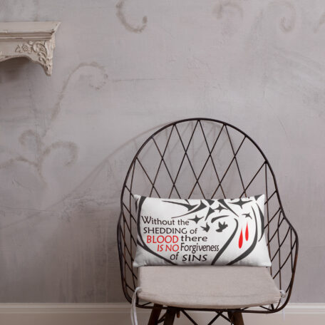 all-over-print-basic-pillow-20x12-5fdabb90270af.jpg