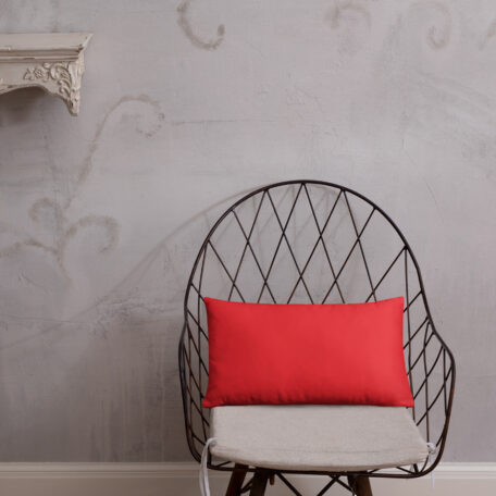 all-over-print-basic-pillow-20x12-5fdabb9027398.jpg