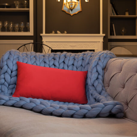 all-over-print-basic-pillow-20x12-5fdabb902748b.jpg