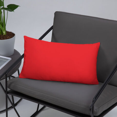 all-over-print-basic-pillow-20x12-5fdabb90274fe.jpg