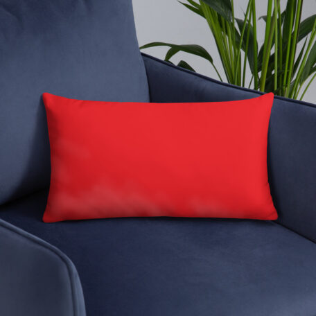all-over-print-basic-pillow-20x12-5fdabb9027573.jpg