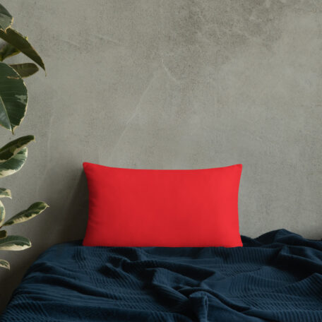 all-over-print-basic-pillow-20x12-5fdabb90275f3.jpg
