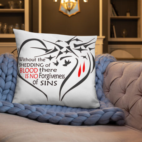 all-over-print-basic-pillow-22x22-5fdabb90277a3.jpg