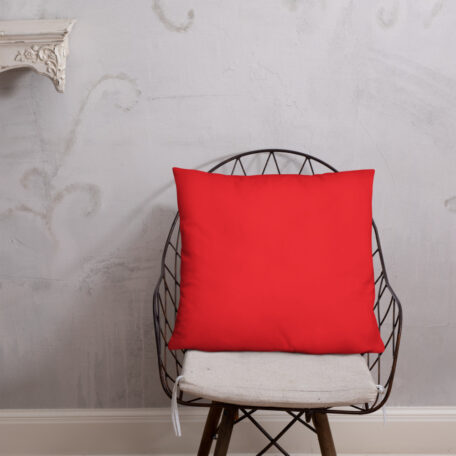 all-over-print-basic-pillow-22x22-5fdabb9027a86.jpg