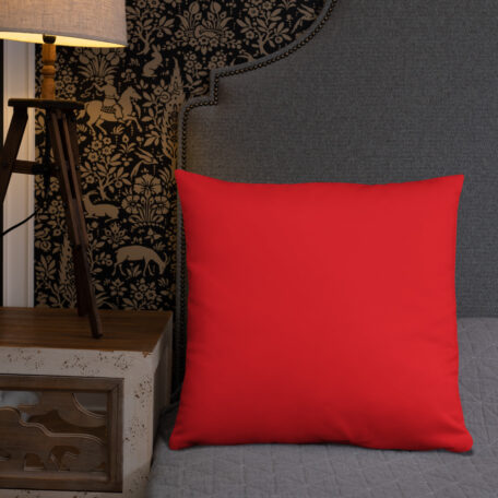 all-over-print-basic-pillow-22x22-5fdabb9027b14.jpg