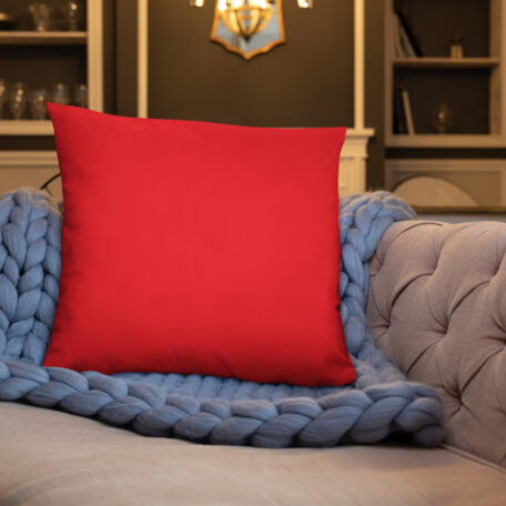 all-over-print-basic-pillow-22x22-5fdabb9027ba0.jpg