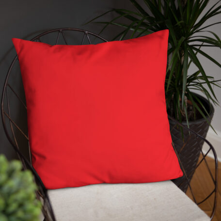 all-over-print-basic-pillow-22x22-5fdabb9027c2e.jpg