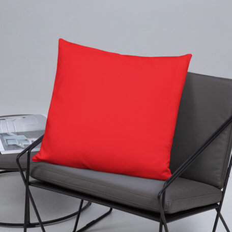 all-over-print-basic-pillow-22x22-5fdabb9027cbe.jpg