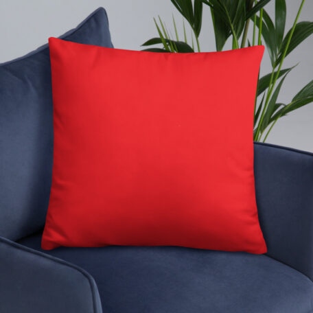 all-over-print-basic-pillow-22x22-5fdabb9027d4d.jpg