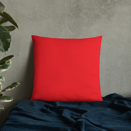 all-over-print-basic-pillow-22x22-5fdabb9027de3.jpg