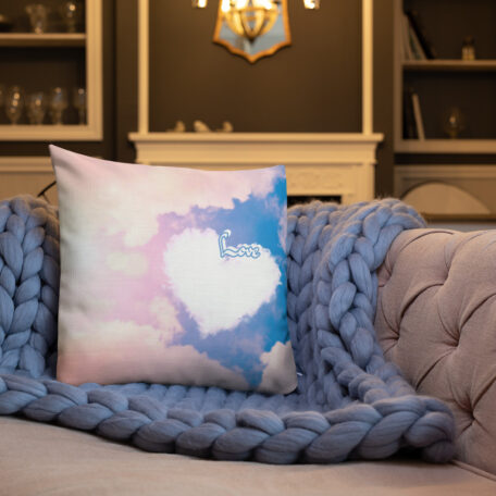 all-over-print-premium-pillow-18x18-5fed307a49bf5.jpg