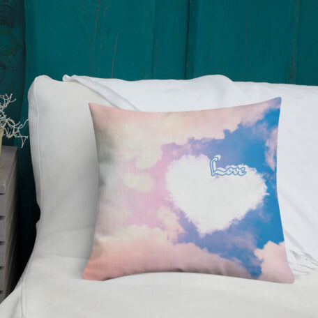all-over-print-premium-pillow-18x18-5fed307a49c58.jpg
