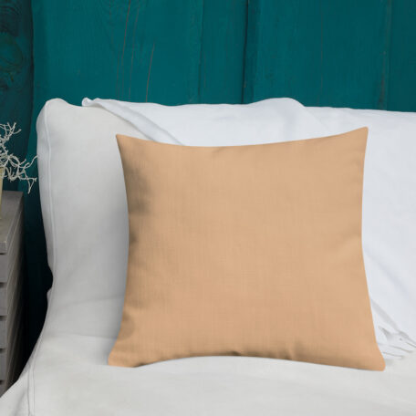 all-over-print-premium-pillow-18x18-5fed307a49e70.jpg
