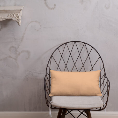 all-over-print-premium-pillow-20x12-5fed307a4a7cd.jpg