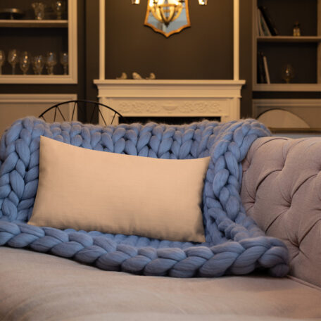 all-over-print-premium-pillow-20x12-5fed307a4a8d1.jpg