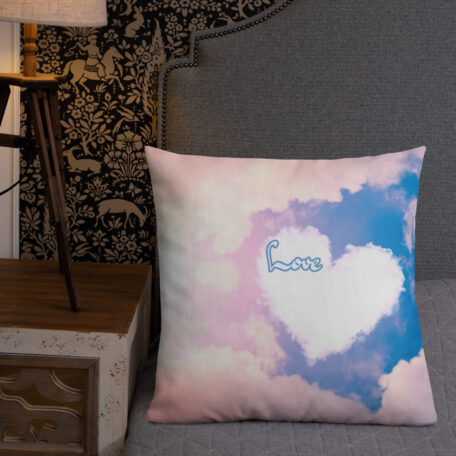 all-over-print-premium-pillow-22x22-5fed307a4ab41.jpg
