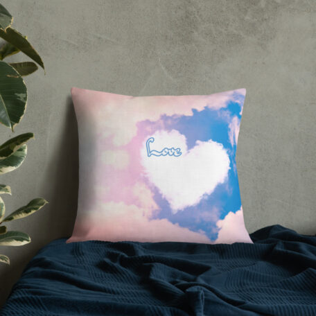 all-over-print-premium-pillow-22x22-5fed307a4ad04.jpg