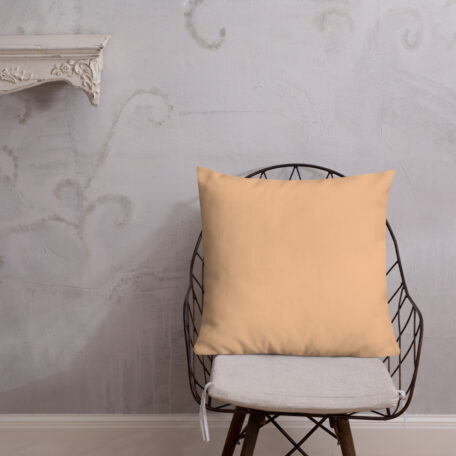 all-over-print-premium-pillow-22x22-5fed307a4ada1.jpg