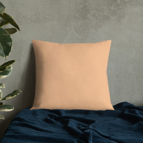 all-over-print-premium-pillow-22x22-5fed307a4aff4.jpg