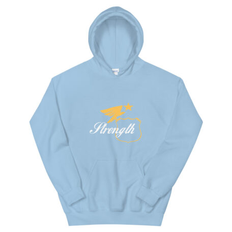unisex-heavy-blend-hoodie-light-blue-5fc8359560777.jpg