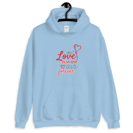 unisex-heavy-blend-hoodie-light-blue-5febb2c5439b8.jpg