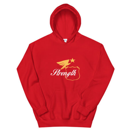 unisex-heavy-blend-hoodie-red-5fc8359554644.jpg