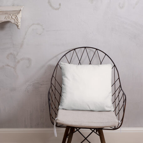 all-over-print-basic-pillow-18x18-5ffa4541e67d3.jpg