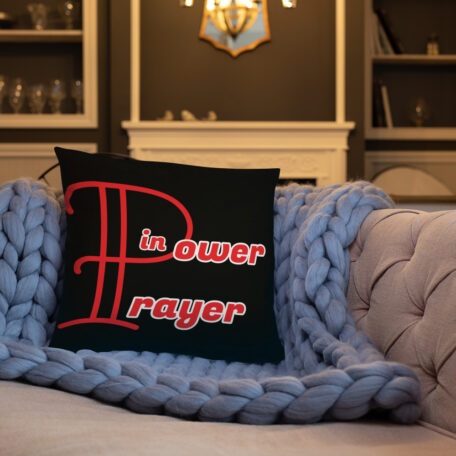 all-over-print-basic-pillow-18x18-6005a33d8c455.jpg