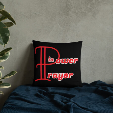 all-over-print-basic-pillow-18x18-6005a33d8c563.jpg