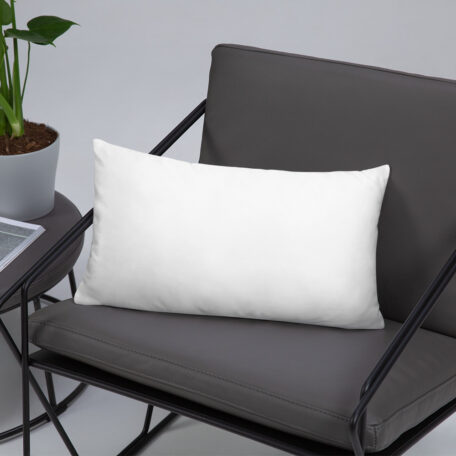 all-over-print-basic-pillow-20x12-5ffa4541e6f06.jpg