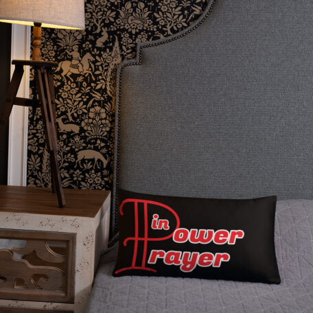 all-over-print-basic-pillow-20x12-6005a33d8c797.jpg