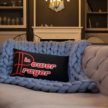 all-over-print-basic-pillow-20x12-6005a33d8c7d8.jpg