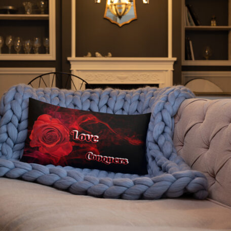 all-over-print-premium-pillow-20x12-6005a7ac50637.jpg