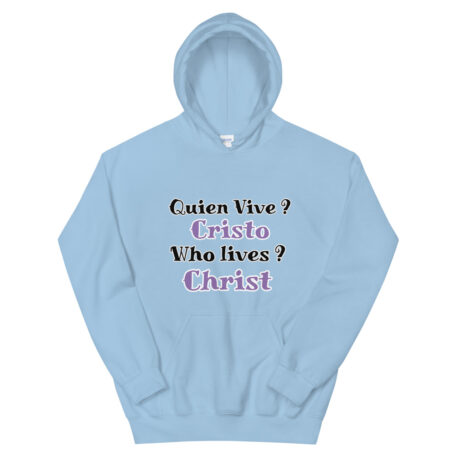 unisex-heavy-blend-hoodie-light-blue-front-6031903eb07dc.jpg