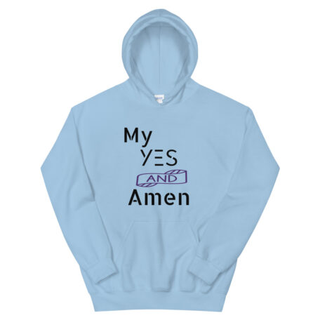 unisex-heavy-blend-hoodie-light-blue-front-60319f5d98586.jpg
