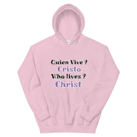 unisex-heavy-blend-hoodie-light-pink-front-6031903eb270d.jpg