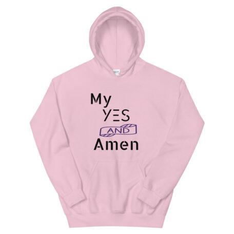 unisex-heavy-blend-hoodie-light-pink-front-60319f5d9ef3b.jpg