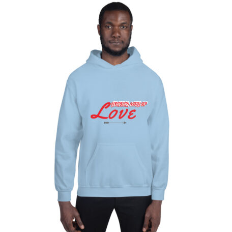 unisex-heavy-blend-hoodie-light-blue-front-6088c7ca8be64.jpg