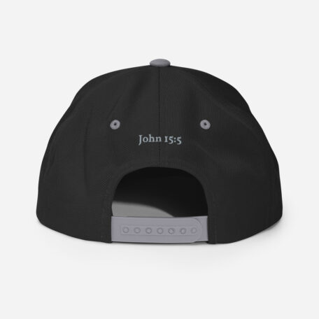 classic-snapback-black-silver-back-60afa82741d05.jpg