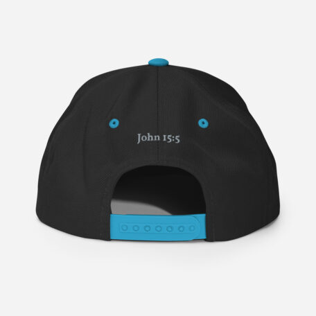 classic-snapback-black-teal-back-60afa82740ff7.jpg
