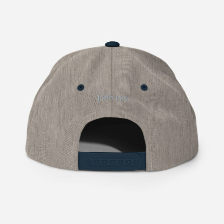 classic-snapback-heather-grey-navy-back-60afa827454bb.jpg