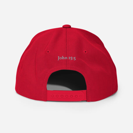 classic-snapback-red-back-60afa82742c00.jpg