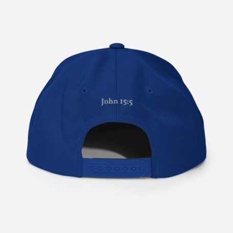 classic-snapback-royal-blue-back-60afa82742576.jpg