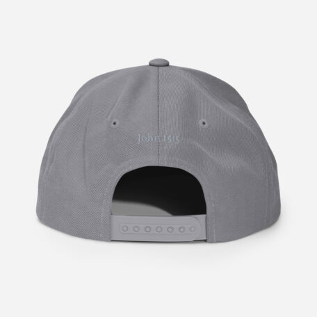 classic-snapback-silver-back-60afa82746187.jpg